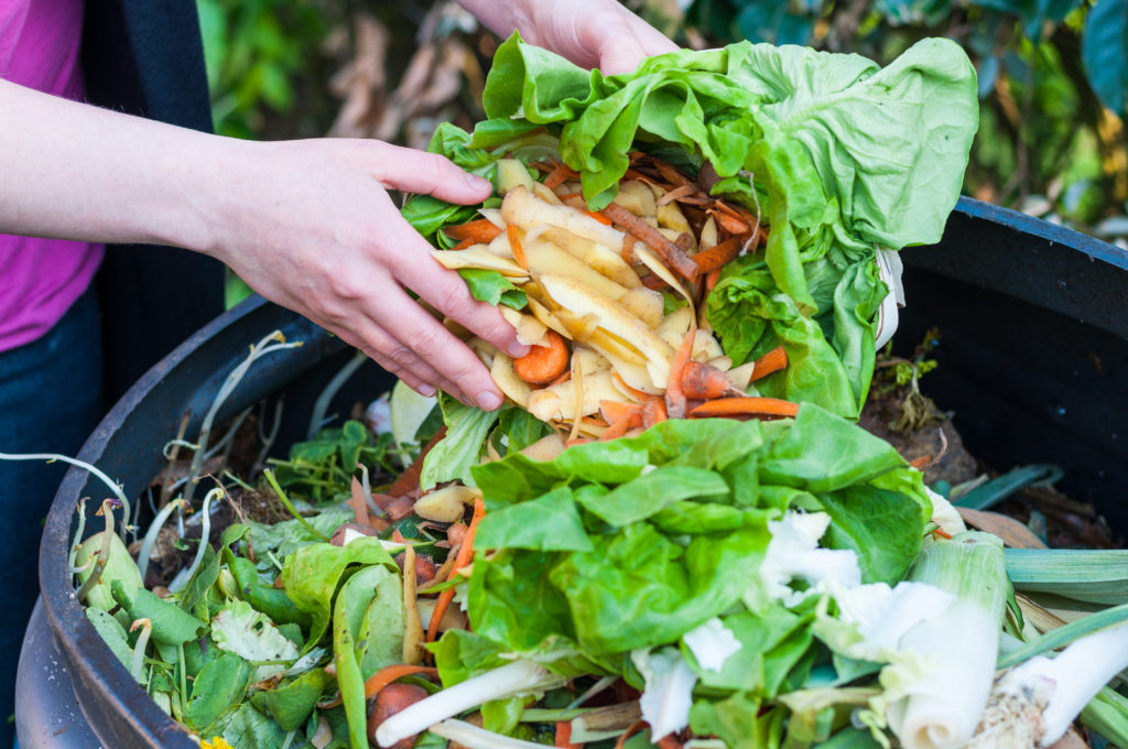 Composting the Kitchen Waste