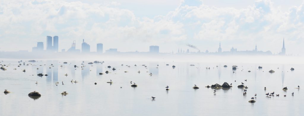 Tallin. Photo: Toimetaja Tõlkebüroo
