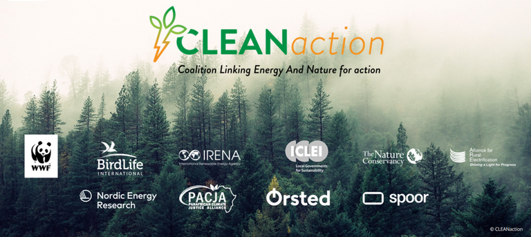About CLEANaction – Nordic Energy Research